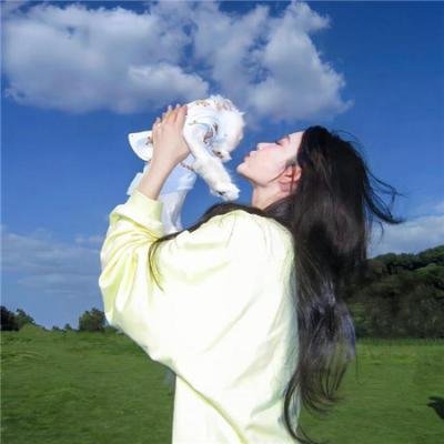 高速路上一只猫